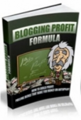 Product picture Blogging Profits...Guide to Success